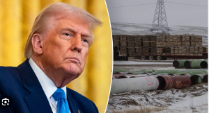 Trump Says He Wants Keystone XL Pipeline to Be Built